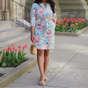 J MCLAUGHLIN Evalyn Madeira Garden Floral Stretch Poplin Dress